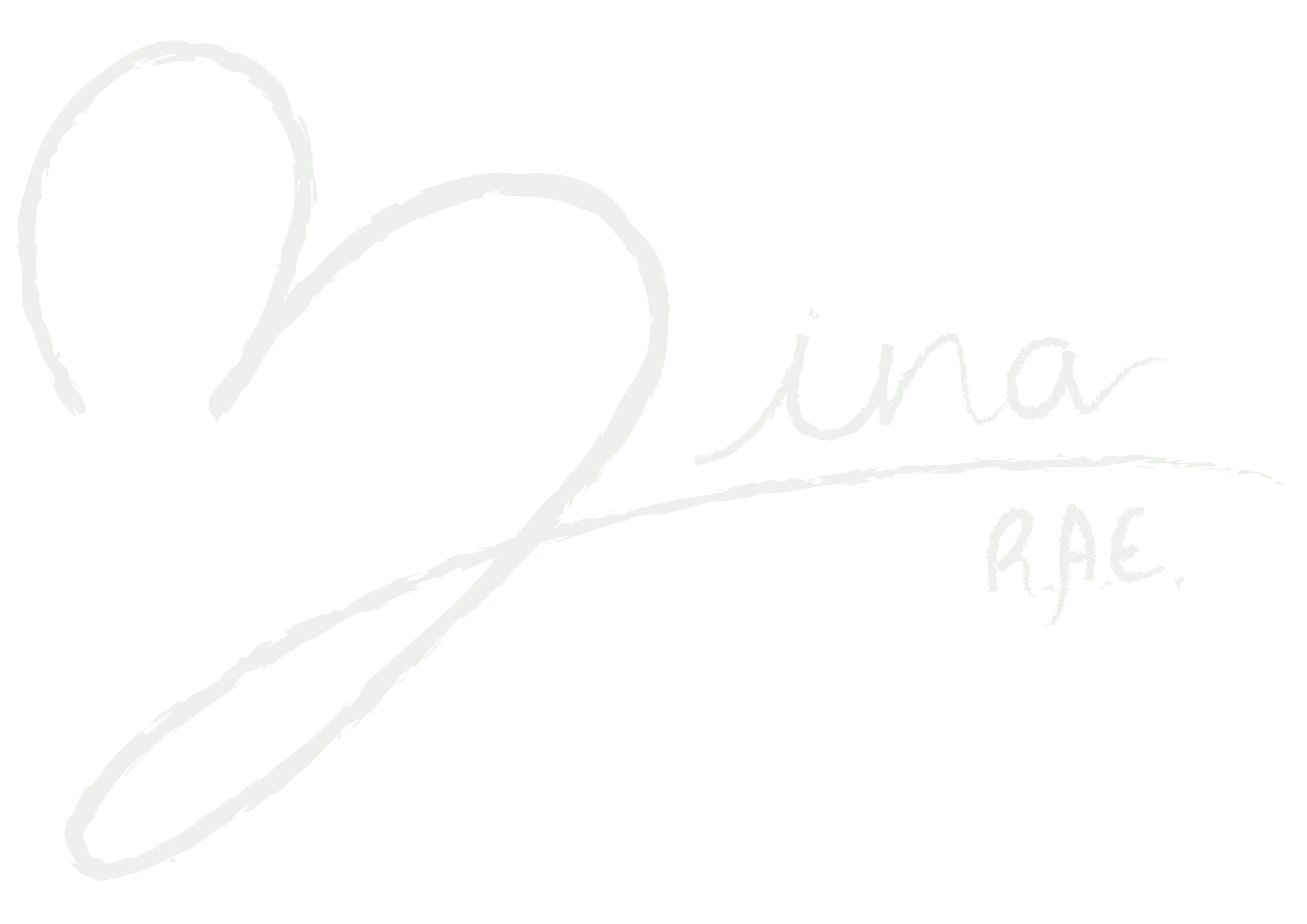 Zina RAE Logo